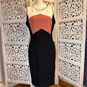 NWT White House Black Market Black and Pink Midi Dress Sz 8